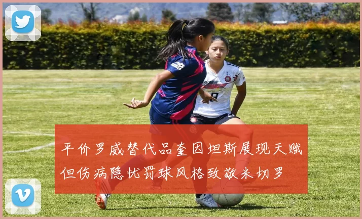 平价罗威替代品奎因坦斯展现天赋但伤病隐忧罚球风格致敬米切罗